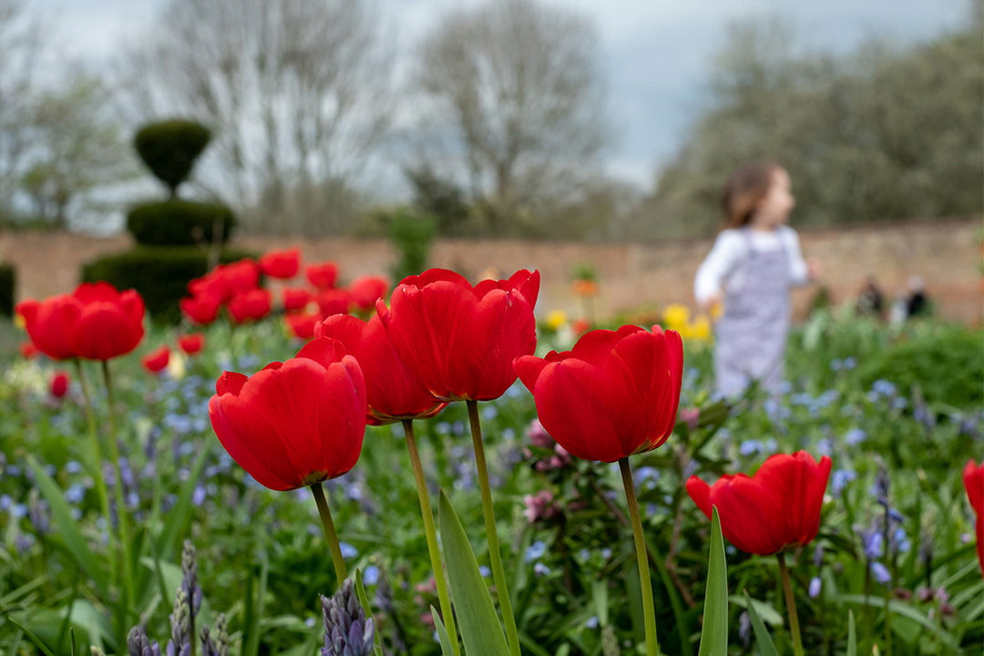 Garden Squares 1