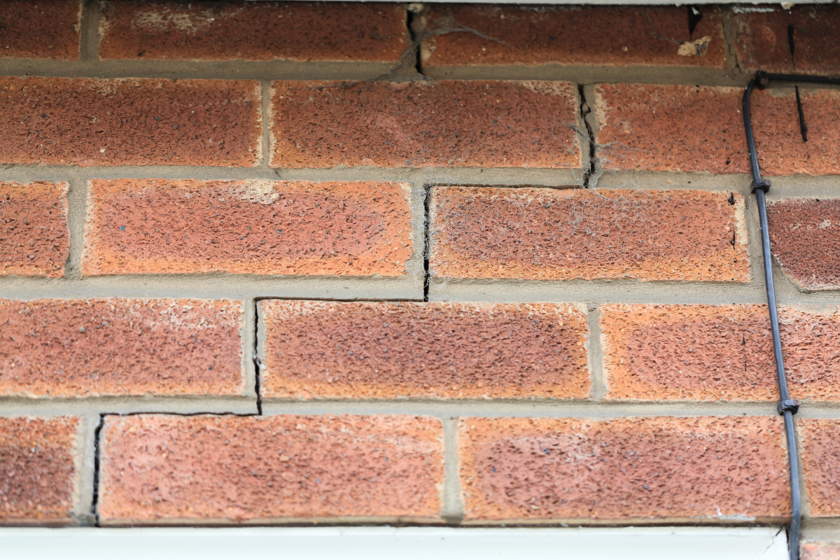 Property Tree Risk, Arboriculture, Tree Removal 1 (12)